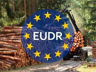 PNG and the Failure of EUDR Benchmarking: When “Low Risk” Ignores Reality