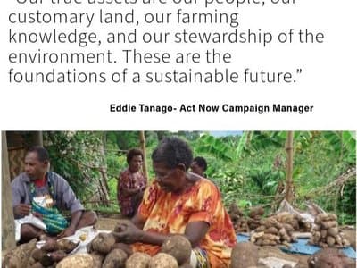 DDA Watch Website explained in Tok Pisin