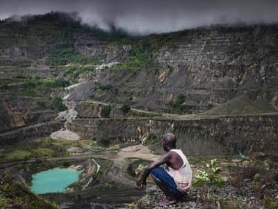 Trade data analysis reinforces claims of huge log export pricing fraud