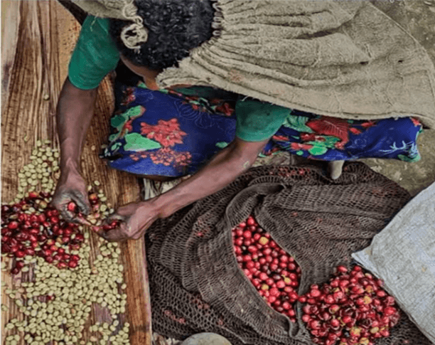 Defending Customary Land and Sustainable Livelihoods: A Call to Reject Seabed Mining in Papua New Guinea