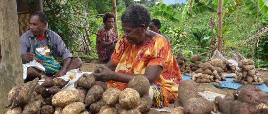 From Extraction to Inclusion: A Bold Call for Real Development in Papua New Guinea