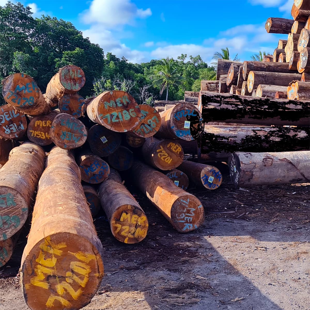 Stack of round logs