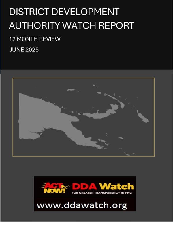 DDA Watch Report 2025