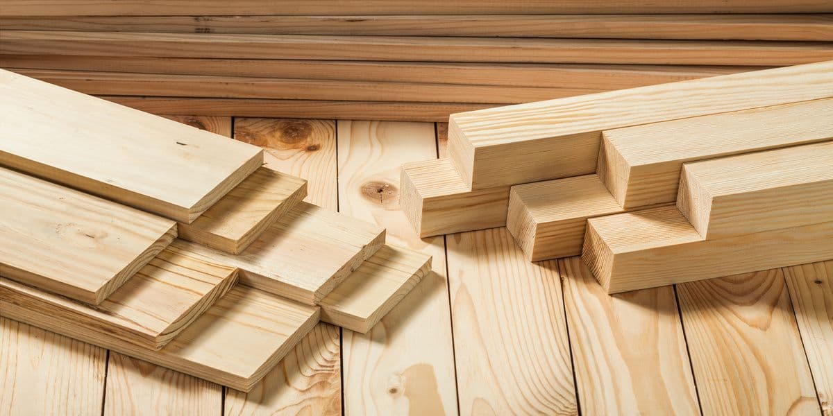 Illegal logging will sink government's timber processing plans