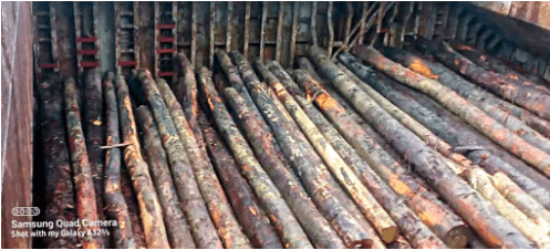 Another classic FCA abuse: The Woodlark Island logging scandal