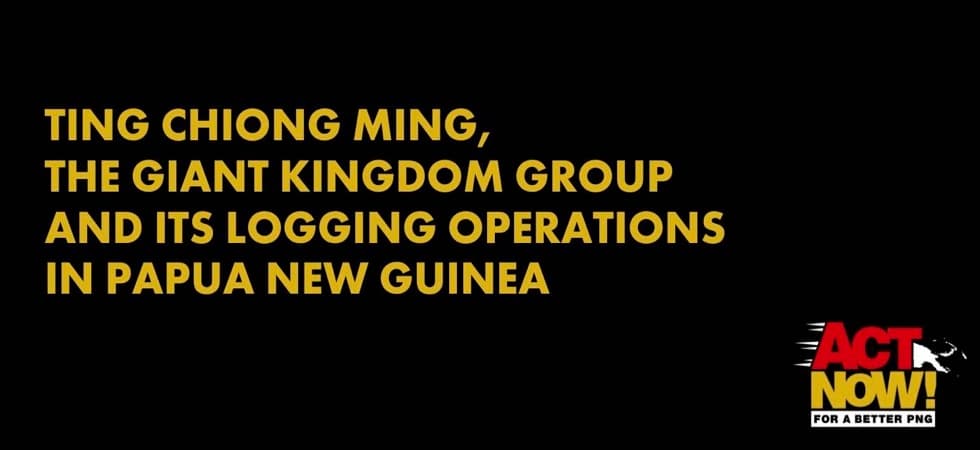 Malaysian logger fails in "SLAPP" legal attack on PNG civil society