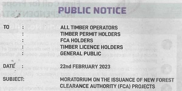 Is the Forest Authority breaching the FCA Moratorium?