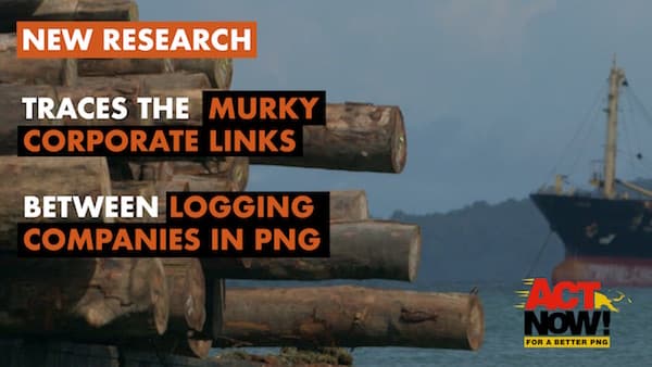 THE NEW TIMBER BARONS: The Companies Logging the Forest of Papua New Guinea