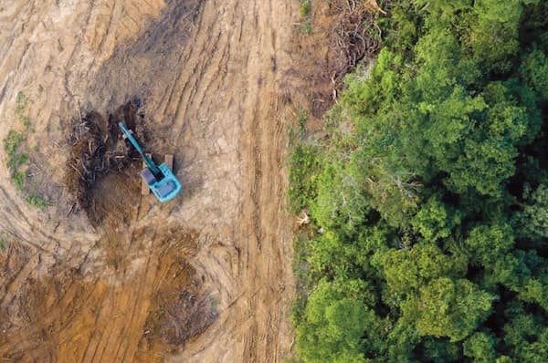 Illegality and human rights abuses in PNG’s logging industry