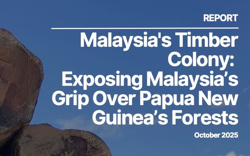 New report reveals Malaysian exploitation of PNG forests