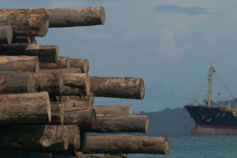 Caritas: Logging must change in Papua New Guinea!