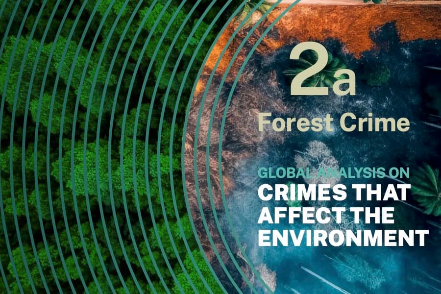 UNODC report reveals US$1.5 billion hole in PNG’s log export income