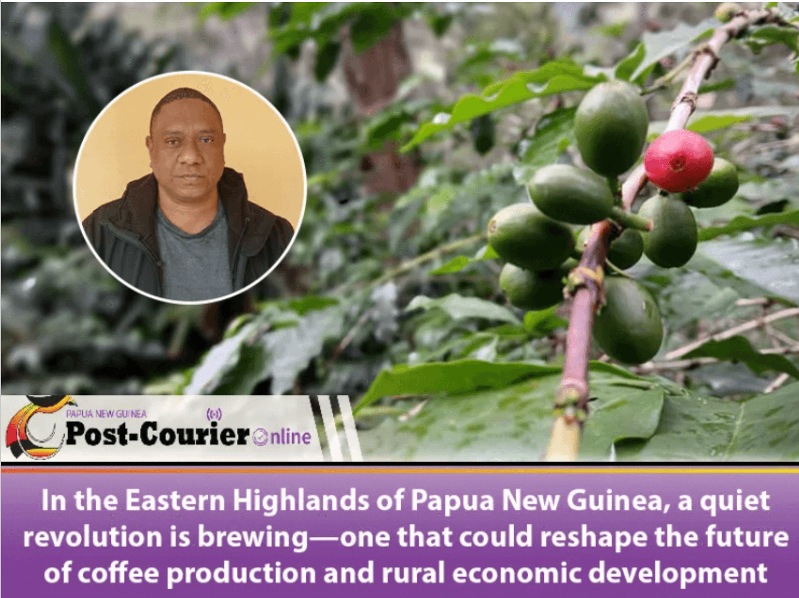 The real prospect of creating million jobs through cooperatives