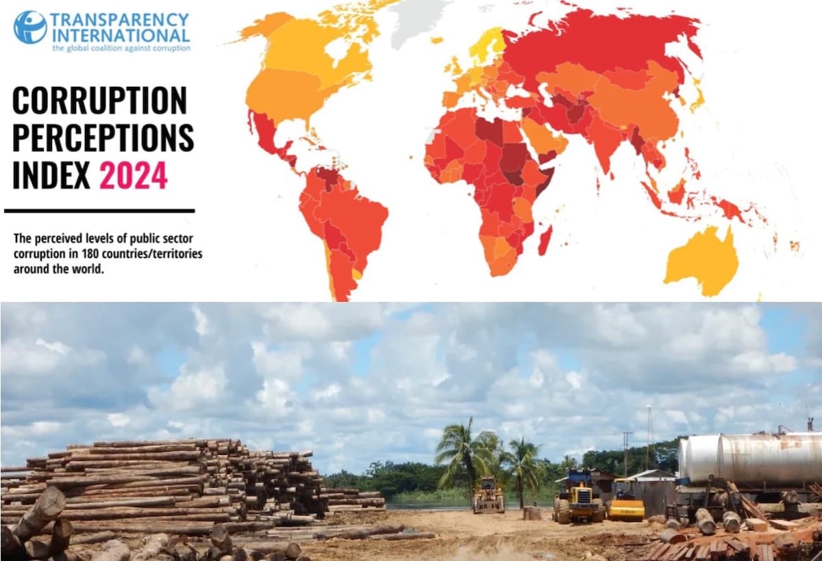 Stagnant CPI score reflects failure to deal with forest crime